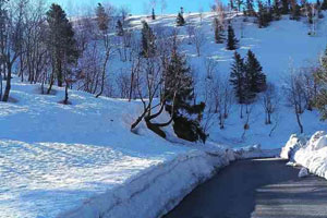 Gulaba near Rohtang Pass